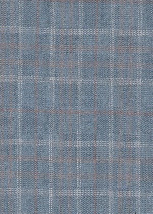 Subtle Light blue & White check
