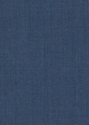 Plain Mid blue