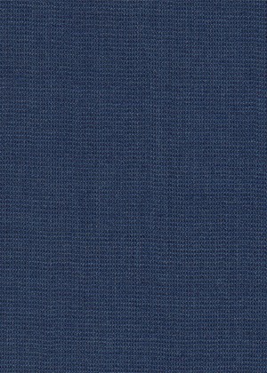 Plain Blue