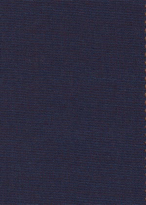 Plain Purple / Blue
