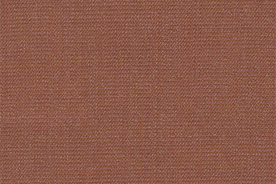 Plain Rusty Orange