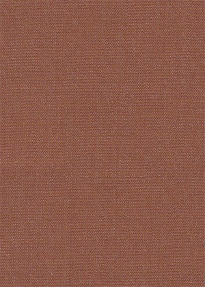 Plain Rusty Orange