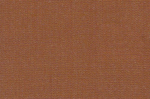 Plain Orange