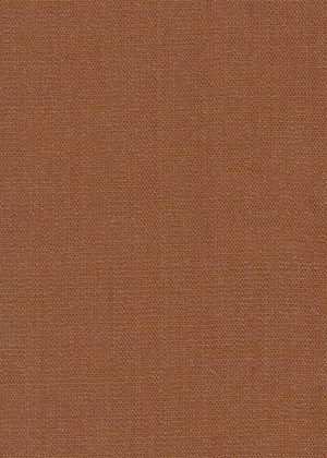 Plain Orange