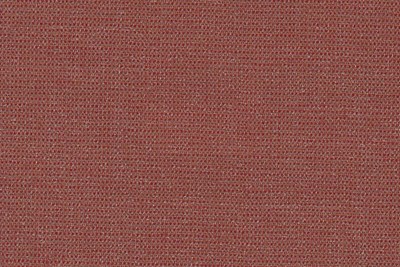 Plain Terracotta