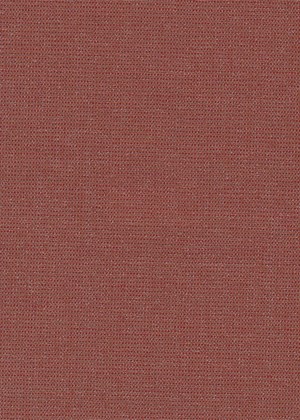 Plain Terracotta
