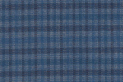 Blue & White Small Box Check