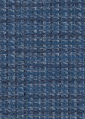 Blue & White Small Box Check