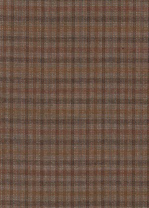 Brown Small Check