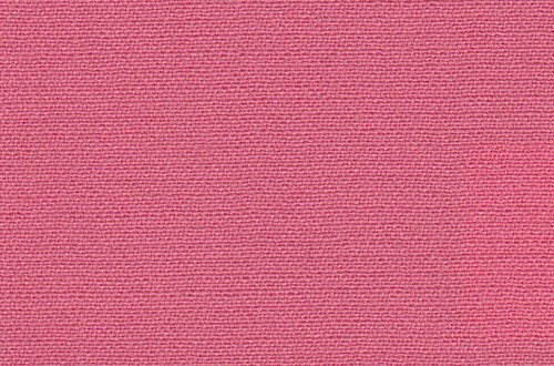 Plain Pink
