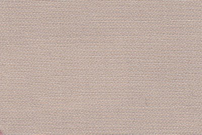Plain Beige