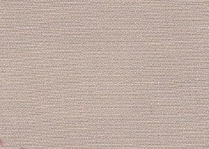 Plain Beige