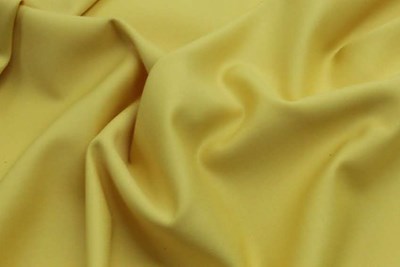 Plain Yellow