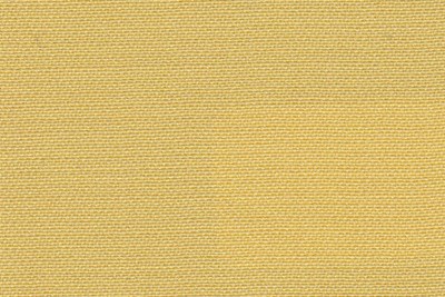 Plain Yellow
