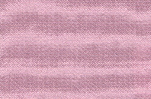 Plain Baby Pink
