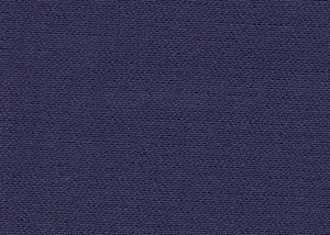 Plain Purple