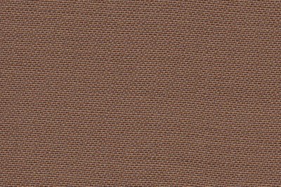 Plain Tan