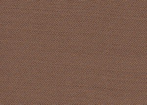 Plain Tan