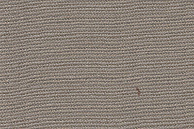 Plain Taupe