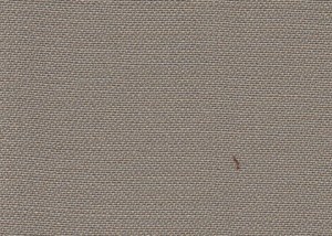 Plain Taupe