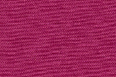 Plain Fuchsia