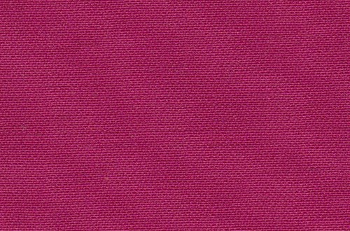 Plain Fuchsia