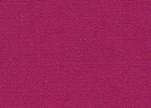 Plain Fuchsia