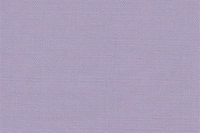 Plain Lilac