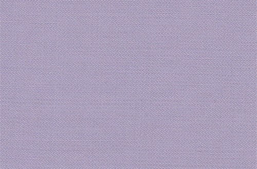 Plain Lilac