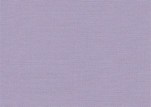 Plain Lilac