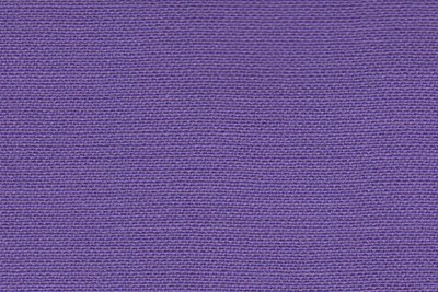 Plain Purple