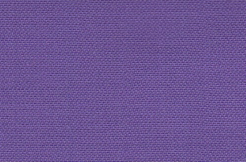 Plain Purple