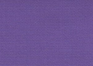 Plain Purple