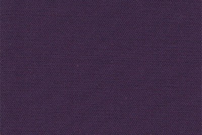 Plain Dark purple