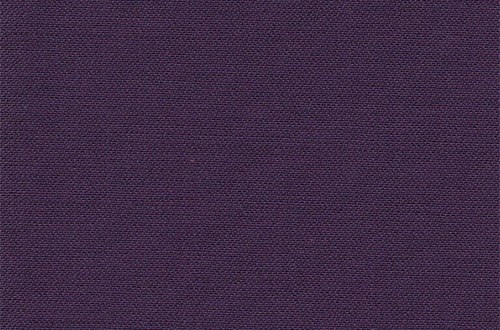 Plain Dark purple