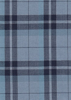 Sky Blue with Navy check
