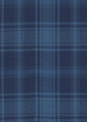 Navy with medium blue check