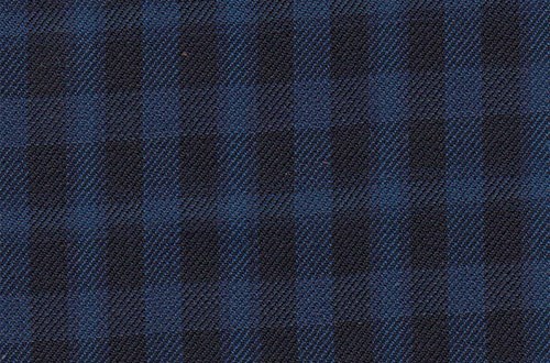 Black with bright blue small check