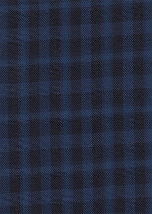 Black with bright blue small check
