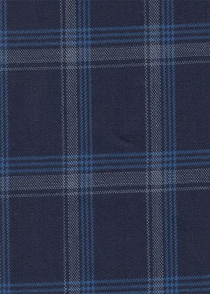 Navy with white / light blue check