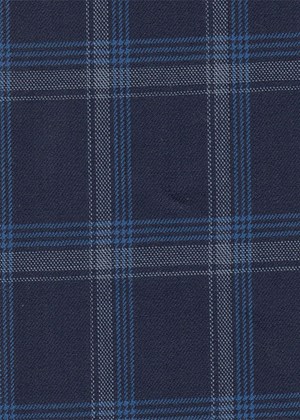 Navy with white / light blue check