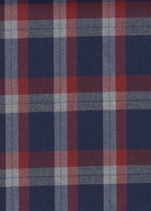 Navy with Red & white check