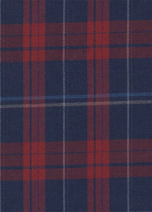 Navy with Red/white/blue check