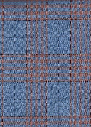 Light blue with Orange check