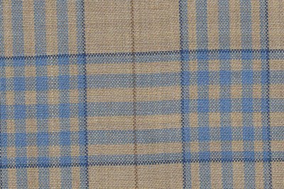 Wheat with light blue check