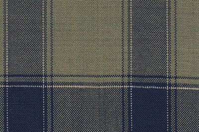 Green with Navy check