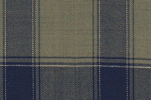 Green with Navy check
