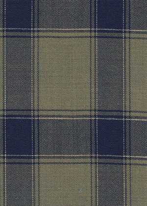Green with Navy check