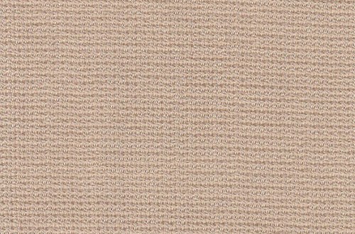 Plain Beige