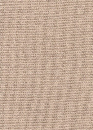 Plain Beige